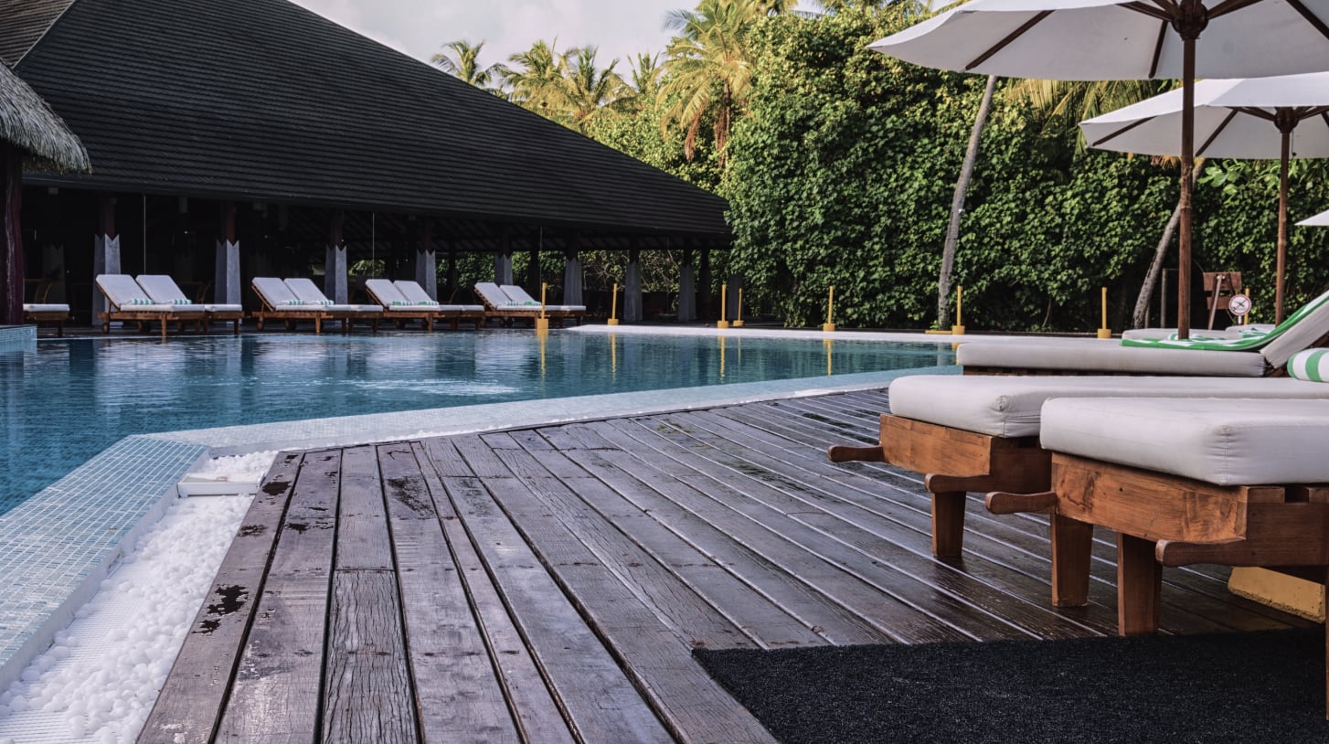 A hotel pool near a tropical forest